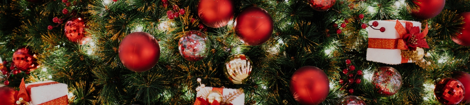 holidays-in-singapore-christmas